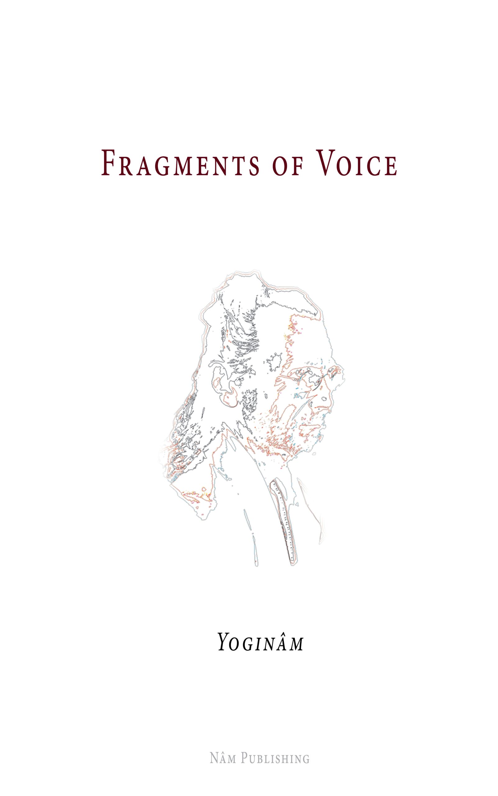 Fragments of Voice