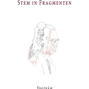 Stem in Fragmenten