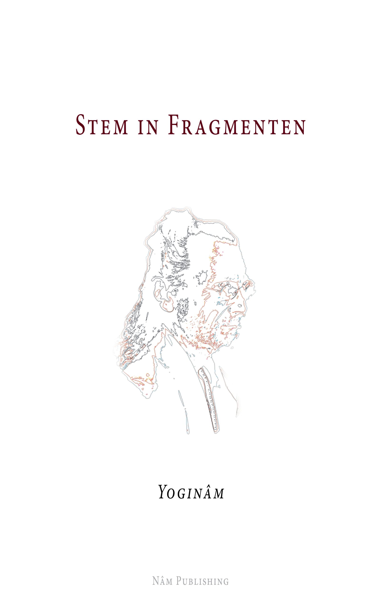 Stem in Fragmenten
