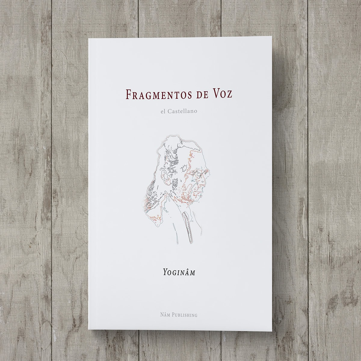 Fragmentos de Voz - Image 2