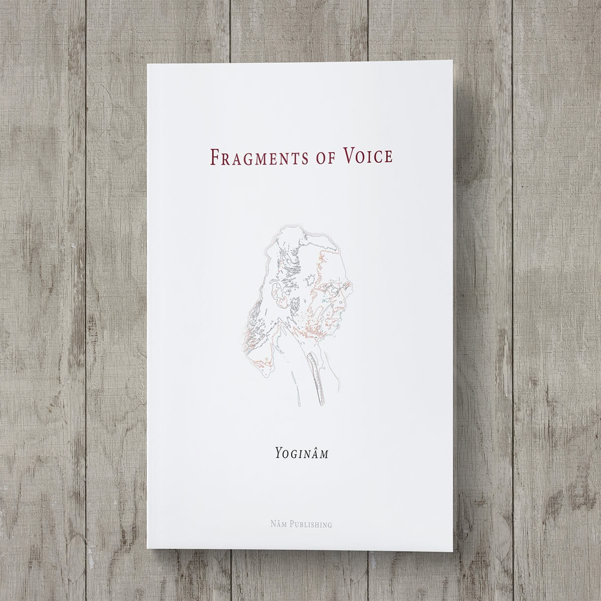 Fragments of Voice - Image 3