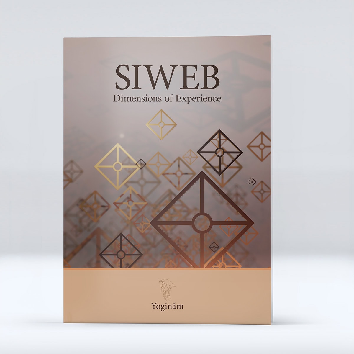 SIWEB - Dimensions of Experience - Image 3